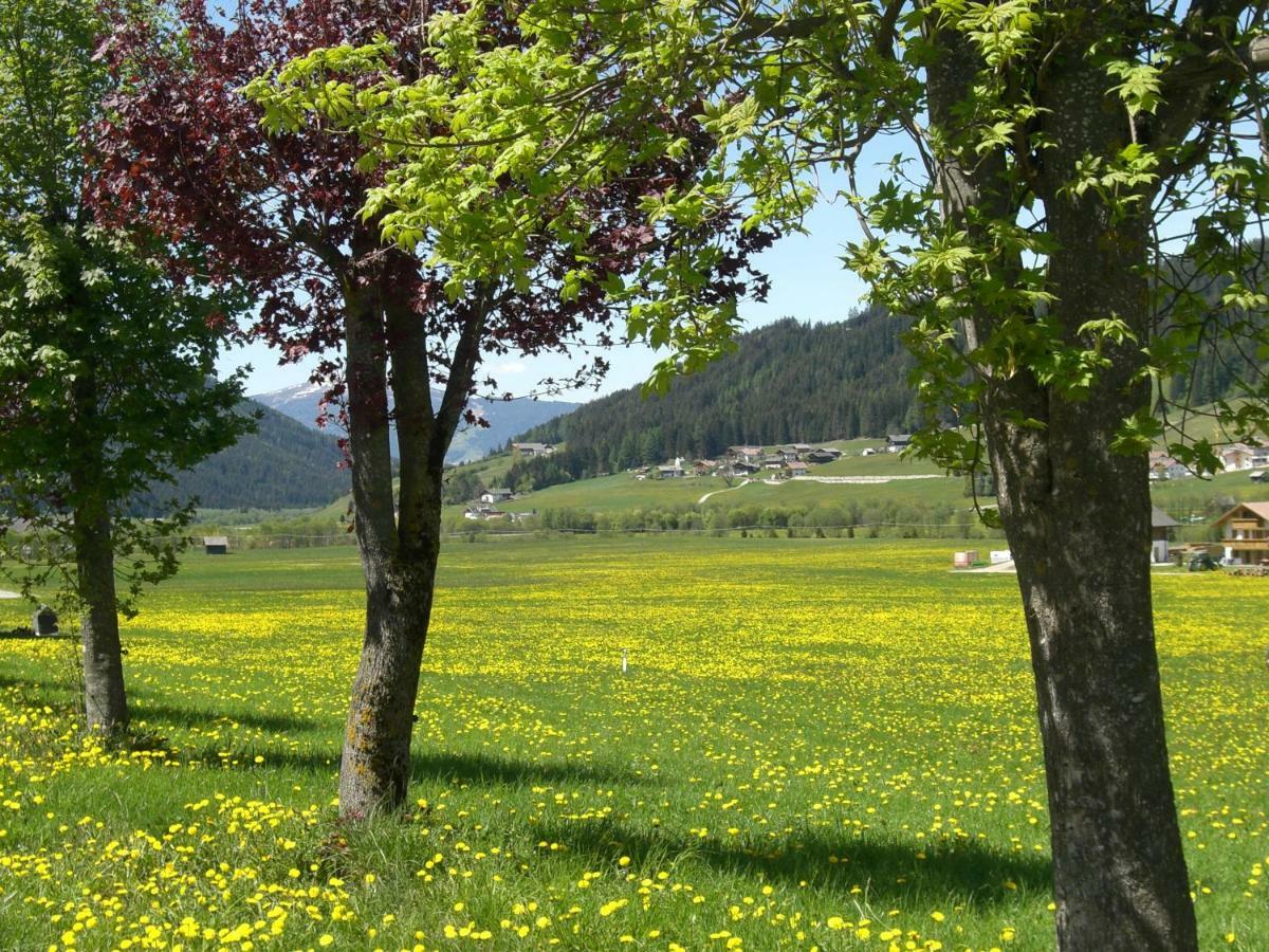 Planca di Sopra Faltnerhof מראה חיצוני תמונה